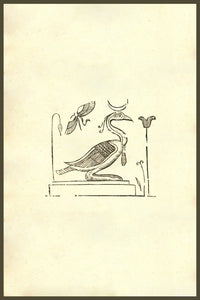 Ibis Woodcut Art Print from Monstrorum Historia by Ulisse Aldrovandi
