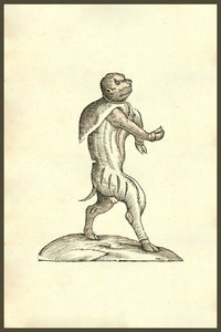 Vitulomonachus Sorbini woodcut print depicting a creature with a calf's body and human head.