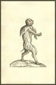 Vitulomonachus Sorbini woodcut print depicting a creature with a calf's body and human head.