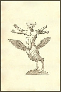 Monstrum Tetrachiron Alatum Capite Humano Aurito Poster Print by Ulisse Aldrovandi, featuring a mythical creature with human and animal characteristics.