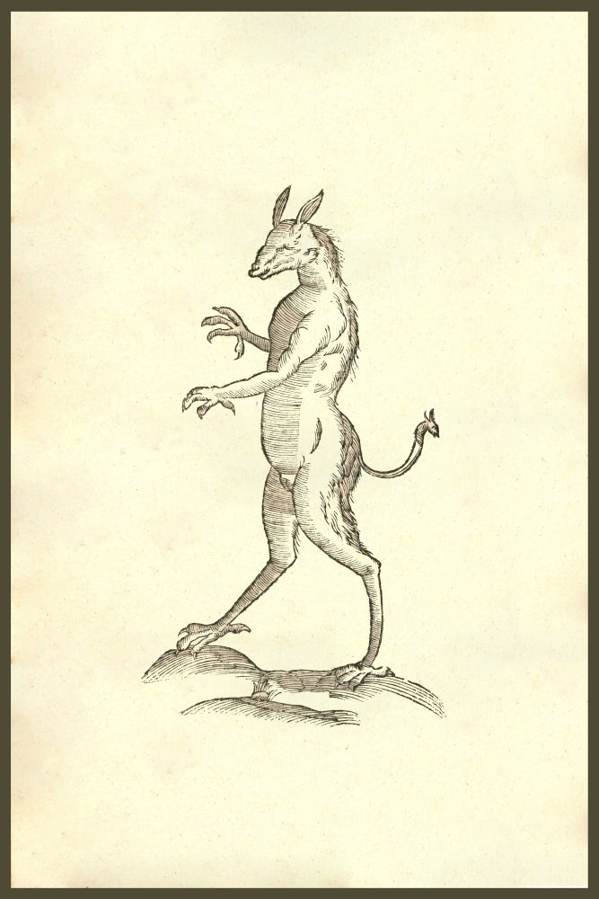 Monstrum Capite Afinio poster print by Ulisse Aldrovandi, depicting a hybrid creature.