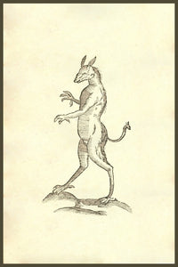 Monstrum Capite Afinio poster print by Ulisse Aldrovandi, depicting a hybrid creature.
