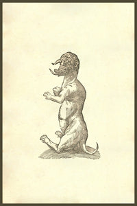 Monstrum ex Regione Betica Hispaniae woodcut print by Ulisse Aldrovandi, featuring a monster with a horn and long tongue.
