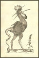 Gallus Monstrosus woodcut print featuring a monstrous rooster by Ulisse Aldrovandi.