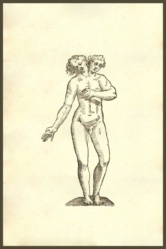 Monstrum Hermaphroditicum Biceps Poster Print from Ulisse Aldrovandi's Monstrorum Historia