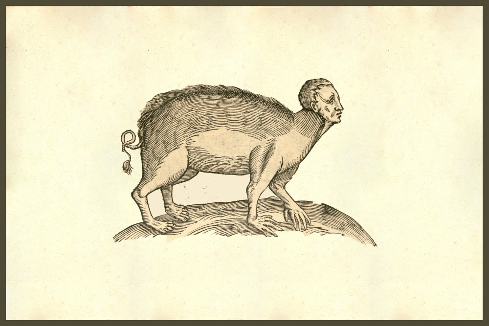 Sus Capite & Pedibus Humanis poster print by Ulisse Aldrovandi featuring a pig with human head.