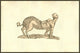 Porcus Parte Antica Humana poster print, half human half pig artwork by Ulisse Aldrovandi.