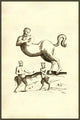 Centaurs & Satyrs Poster Print inspired by Ulisse Aldrovandi's 1642 artwork.