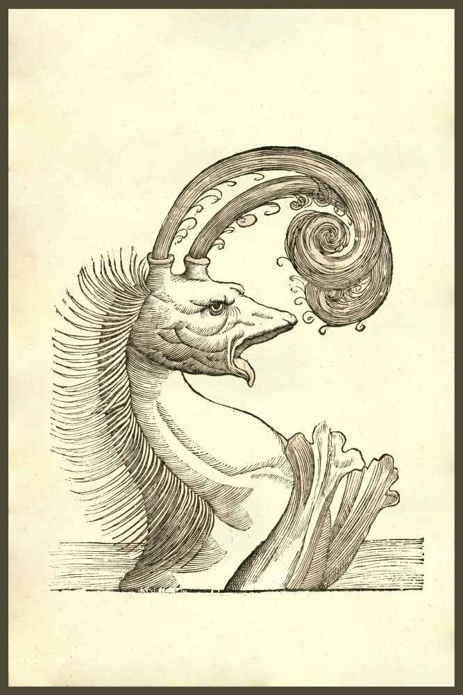 Pseudophyseter illustration from Monstrorum Historia by Ulisse Aldrovandi