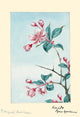Japanese Plum Tree Poster Print featuring pink blossoms and green leaves by Megata Morikaga.