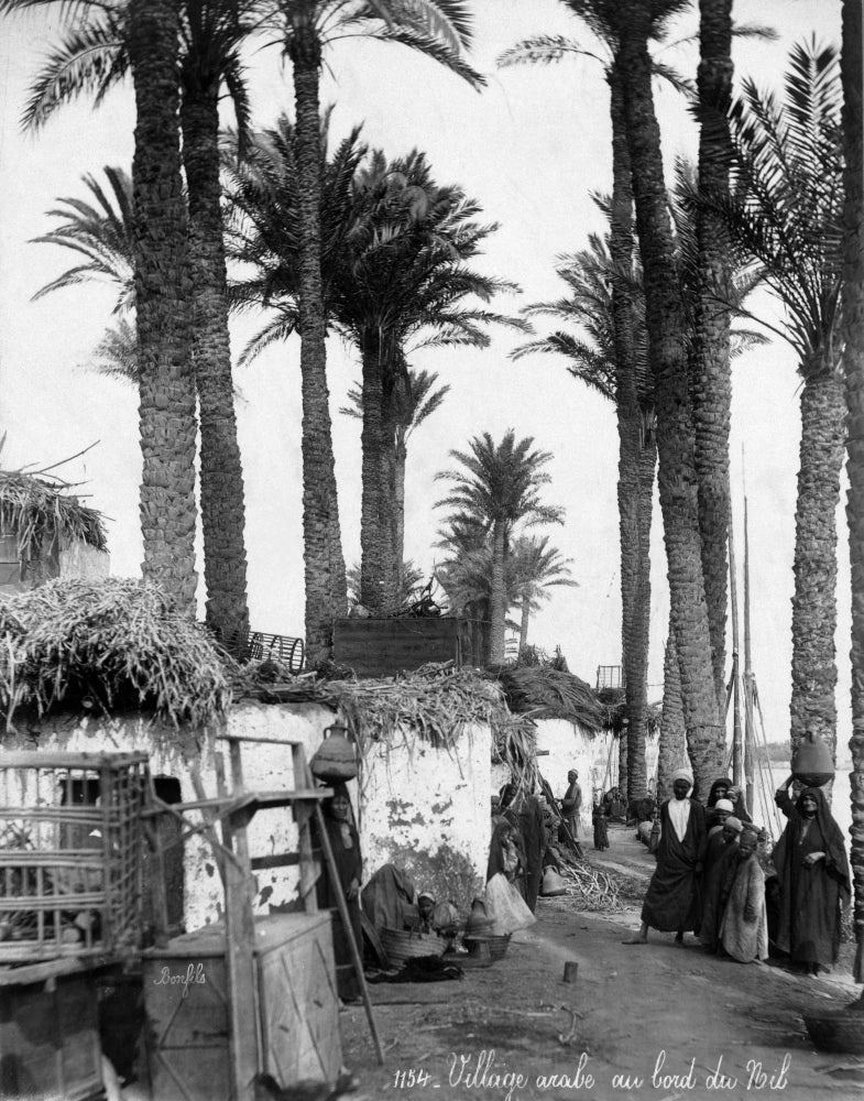 Palm Trees and Villagers Along the Nile River Poster Print by Felix Bonfils