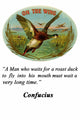 Flying Duck Poster Print by Wilbur Pierce featuring Confucius quote.