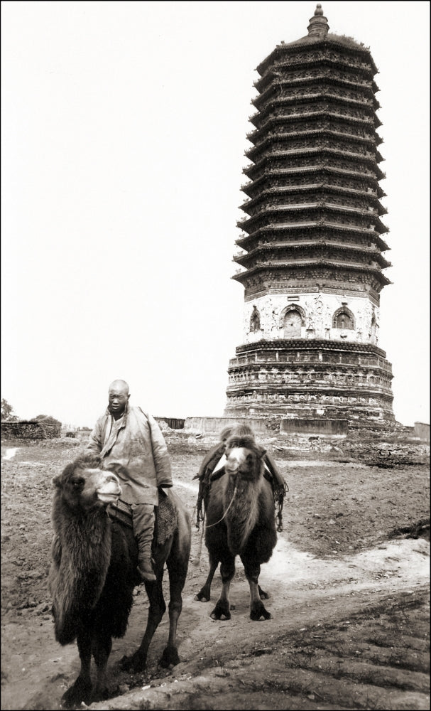 Buddhist Temple of Cishou in Beijing, China Poster Print