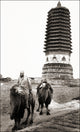 Buddhist Temple of Cishou in Beijing, China Poster Print