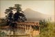 Mount Fuji from Kawabiashi Bridge Poster Print