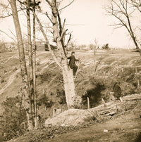 Point of Rocks Virginia Federal Camp Poster Print