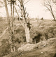 Point of Rocks Virginia Federal Camp Poster Print