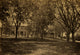 View in Arsenal Yard Poster Print showcasing Washington, D.C.