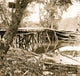 Chickahominy River military bridge poster print showcasing historical significance.