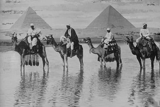 Camels with Native Riders in Floodwaters with Pyramids of Giza Poster Print