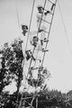 Crown Prince of Germany's Children Frolic on Rope Ladder Poster Print