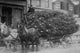 Load of Christmas Trees on Wagon Poster Print featuring vibrant Christmas trees and horses