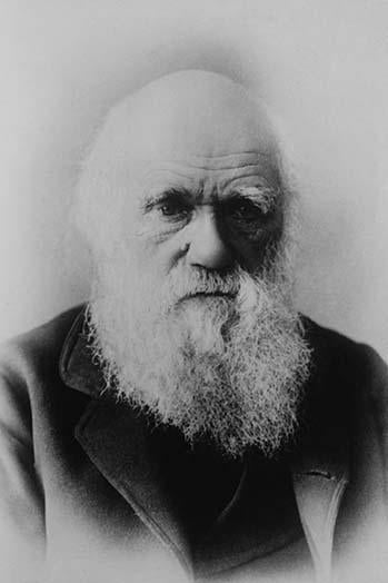 Portrait of Charles Darwin Poster Print showcasing the iconic figure of evolutionary science.