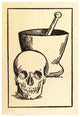 Skull and Mortar Pestle Poster Print on premium paper.