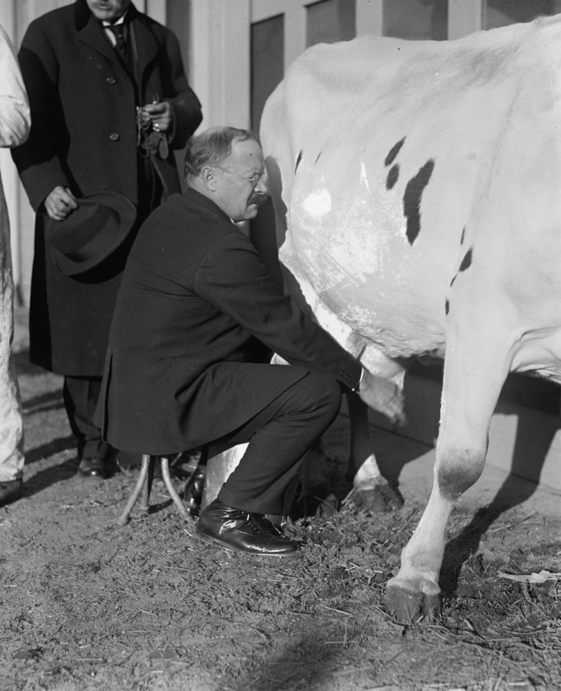 Senator Johnson Milking a Cow Poster Print showcasing a humorous political scene.
