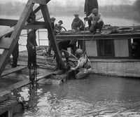 Helmeted divers exploring an underwater auto wreck poster print.