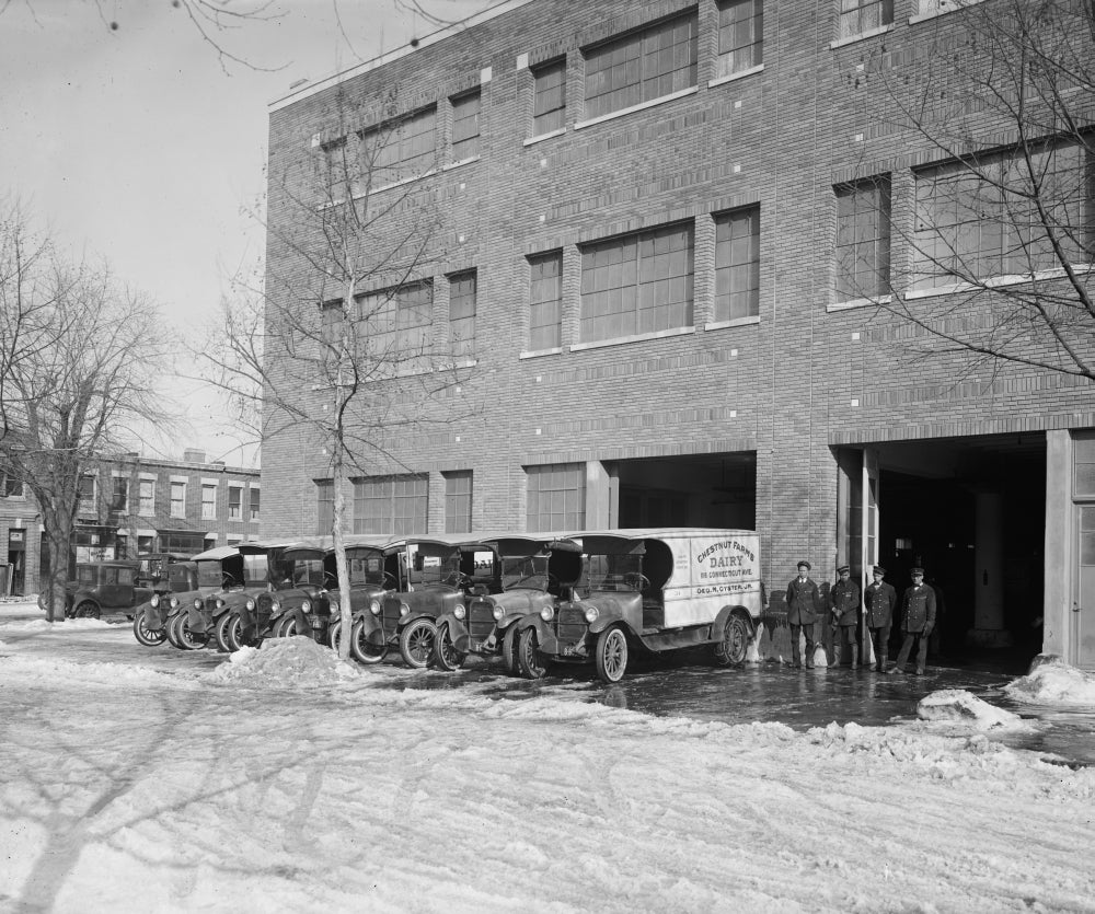 Chestnut Farms Dairy Poster Print showcasing rustic farm life.