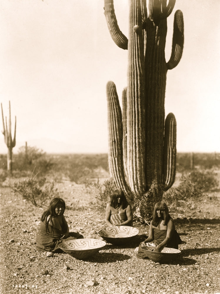 Three Maricopa Indians seated in front of cactus with baskets poster print