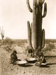 Three Maricopa Indians seated in front of cactus with baskets poster print