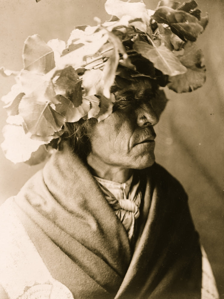 Porcupine Cheyenne man portrait poster print, showcasing Native American culture.