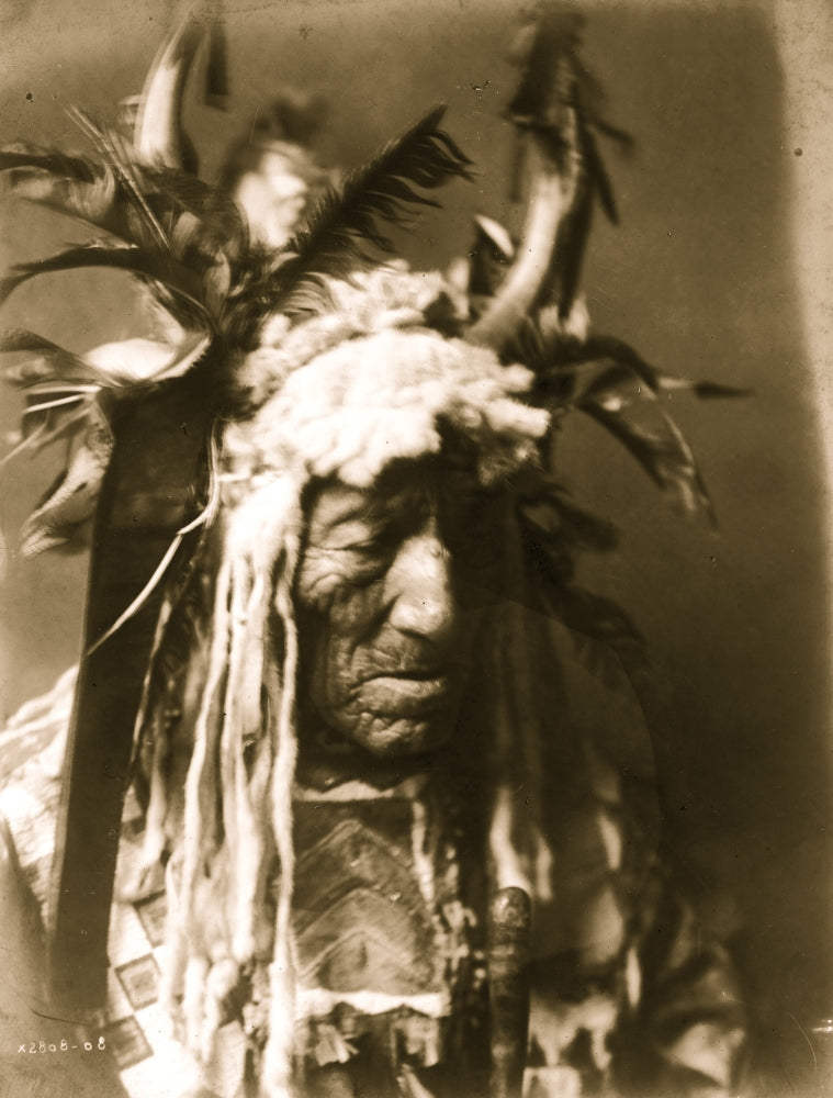 Lean Wolf head-and-shoulders portrait poster print, featuring a horn headdress with white fur and dark feathers.