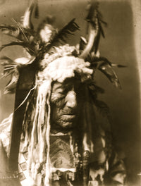 Lean Wolf head-and-shoulders portrait poster print, featuring a horn headdress with white fur and dark feathers.