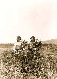 Two girls standing in a field of goldenrod poster print