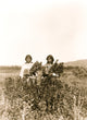 Two girls standing in a field of goldenrod poster print