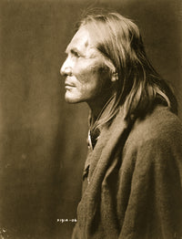Alchise Apache Indian half-length portrait poster print