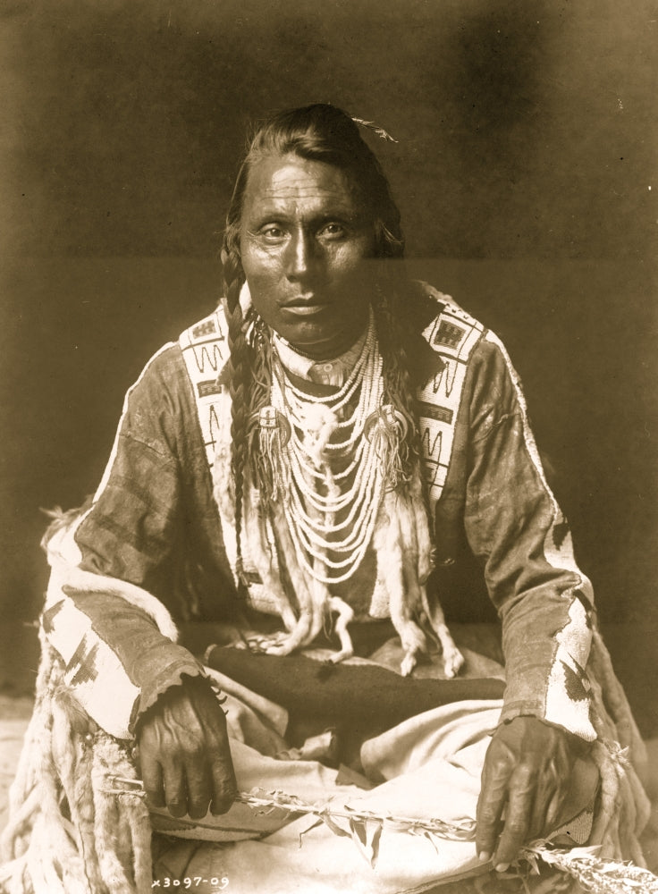 Wades in Water Piegan Indian Portrait Poster Print