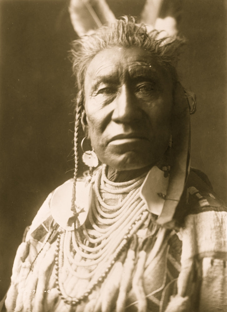 Fish Shows Apsaroke Indian head-and-shoulders portrait poster print.