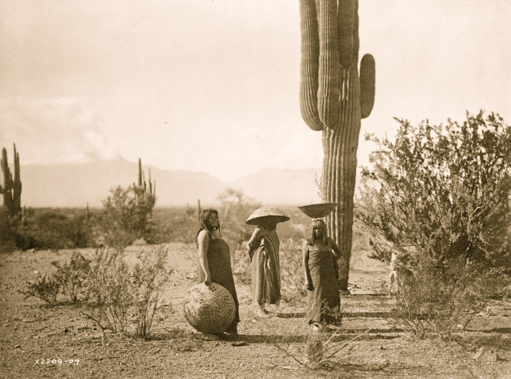Three women with baskets standing by a cactus in Arizona - Poster Print