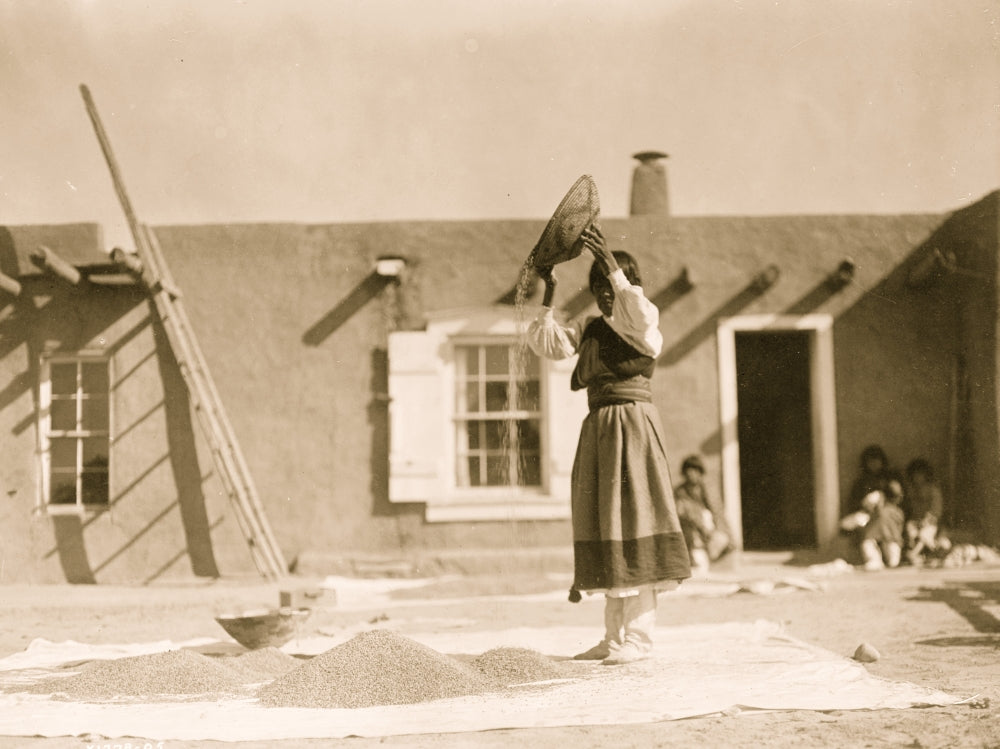 Tewa woman winnowing wheat in front of pueblo building poster print.