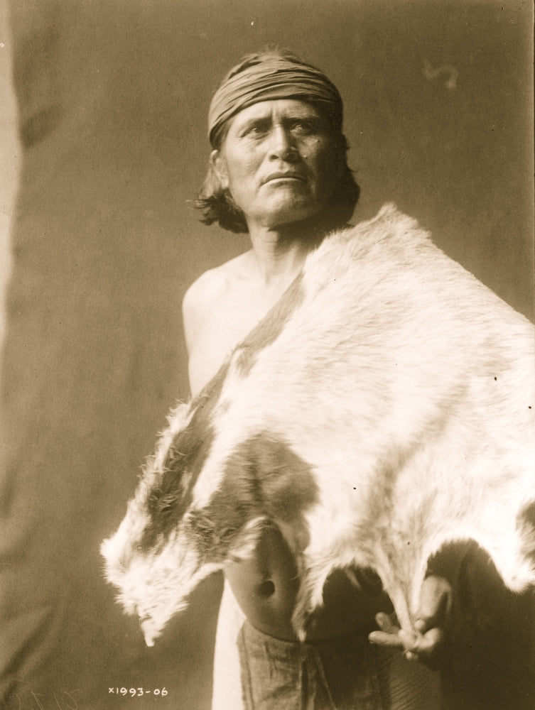 Half-length portrait of a Hopi man with animal skin poster print.