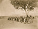 Tewa Indians dancing in line formation Poster Print