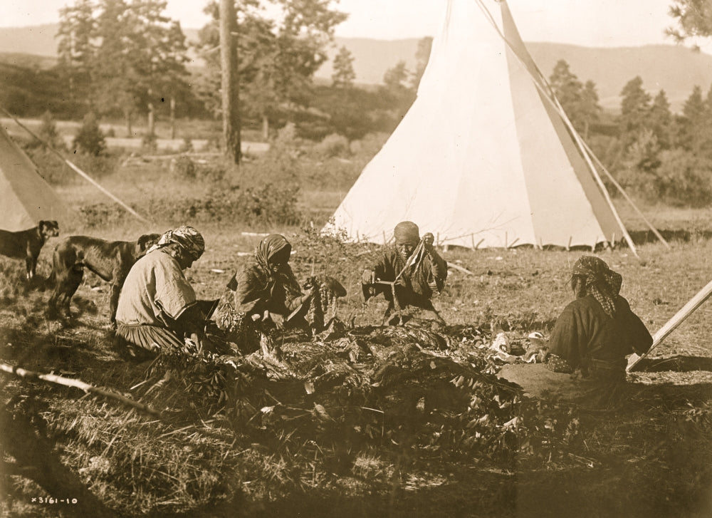 Four Salish women preparing meat poster print