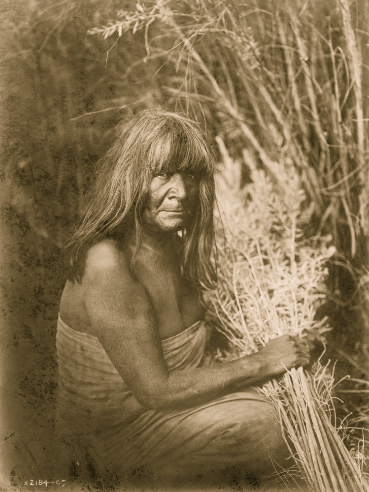 Maricopa Indian portrait print featuring a seated figure holding arrow-brush stalks.