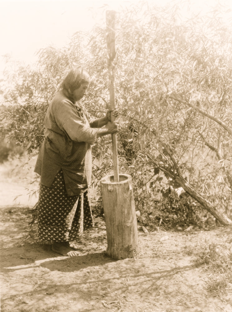 Wichita woman using mortar and pestle poster print