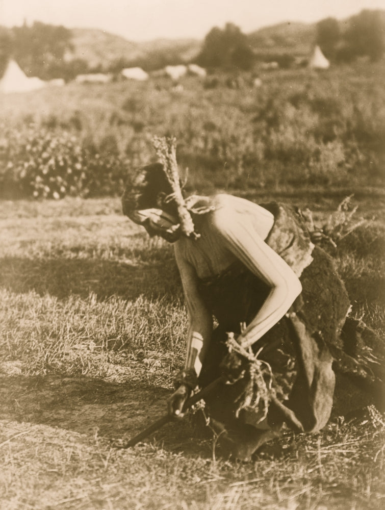 Cheyenne woman holding pipe during Sun Dance ceremony poster print