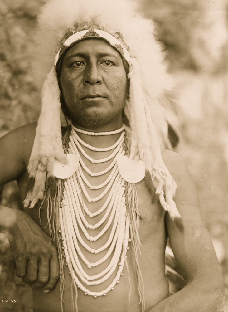 Upshaw Apsaroke Man Half-Length Portrait Poster Print